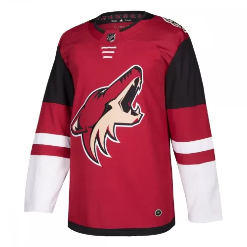 Arizona Coyotes Maroon Adidas Home Authentic Blank Jersey