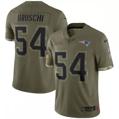 Tedy Bruschi New England Patriots 2022 Salute To Service Retired Player Limited Jersey