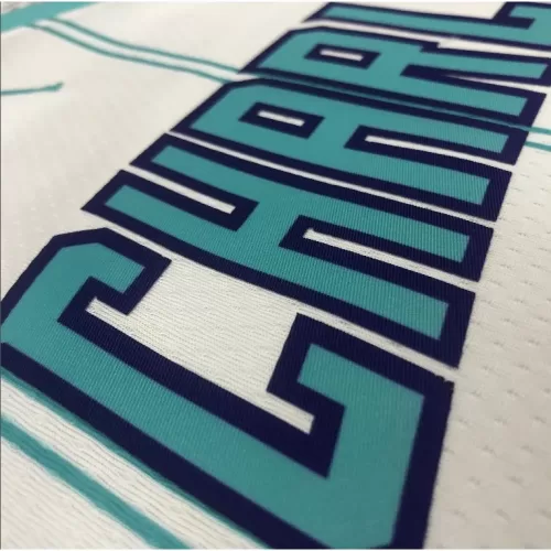 Charlotte Hornets Hayward #20 Jordan Brand White Swingman Jersey