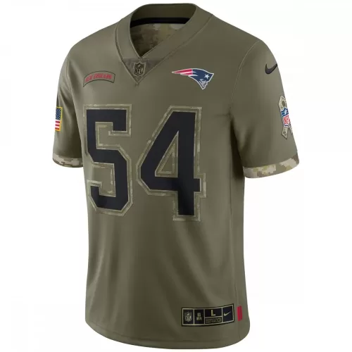 Tedy Bruschi New England Patriots 2022 Salute To Service Retired Player Limited Jersey