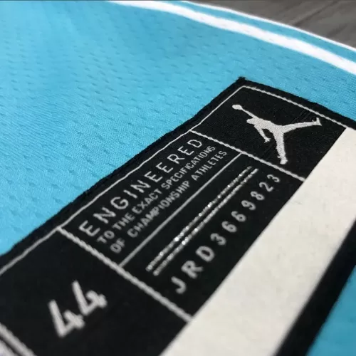 Charlotte Hornets Hayward #20 Jordan Brand Blue 20/21 Swingman Jersey